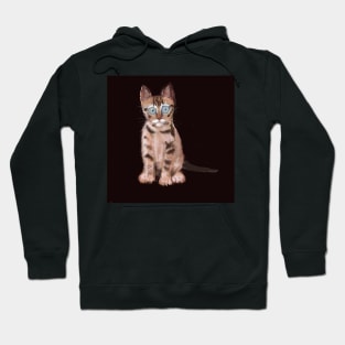 Tabby Hoodie